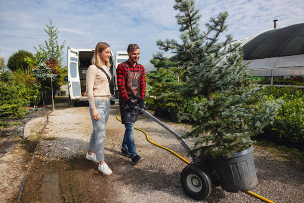 Lawn Irrigation Installation and Maintenance in Kildeer, IL